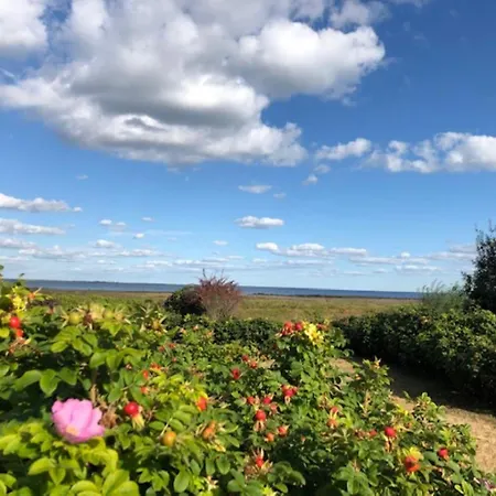 Heefkant Haus Heefkant,hk 02 *